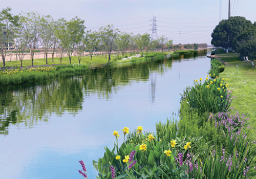 河湖、尾水濕地治理