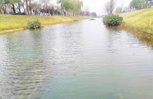 淮北蕭濉新河水系冬日生態畫卷